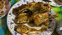 Gebratene Barsche