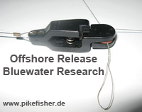 Release von Bluewater Research