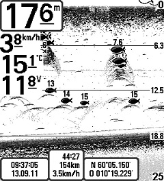 Hier halten sich auch Fische bereits bei einer Wassertiefe von 5 Meter auf Hier halten sich auch Fische bei einer Wassertiefe von 5 Meter auf
