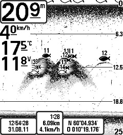 GrößereFische bei 11 bis 14 Meter Tiefe um einen Schwarm Kleinfische Größere Fische bei 11 bis 14 Meter Tiefe