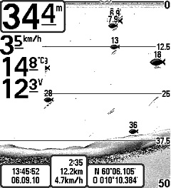 Fische stehen in allen Schichten, sogar bei 36 Meter. Fische stehen in allen Schichten, sogar bei 36 Meter.