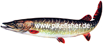 Logo Logo