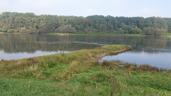 Elbe