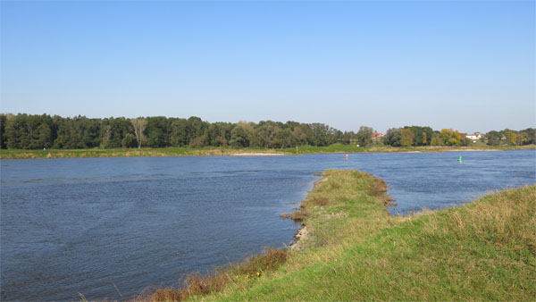 Elbe