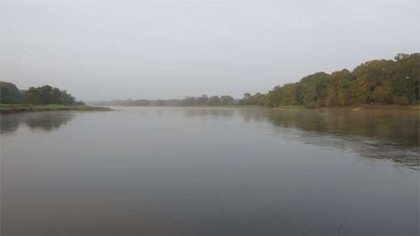Elbe