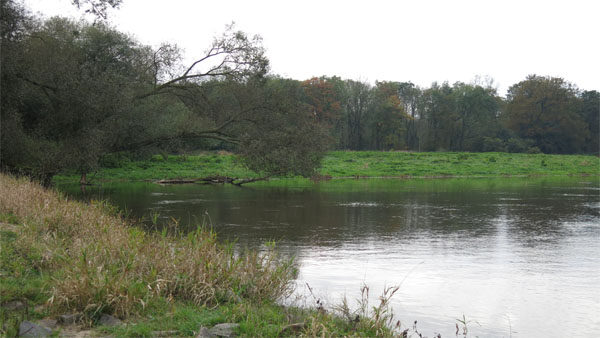 Elbe