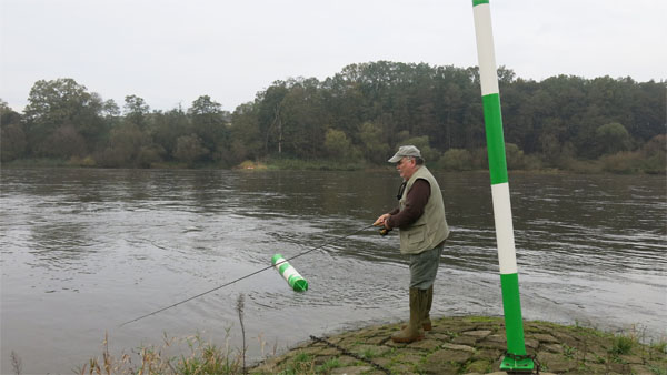 Elbe
