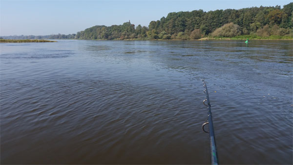 Elbe