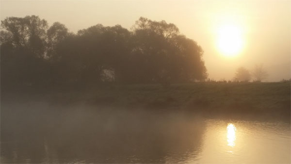 Elbe
