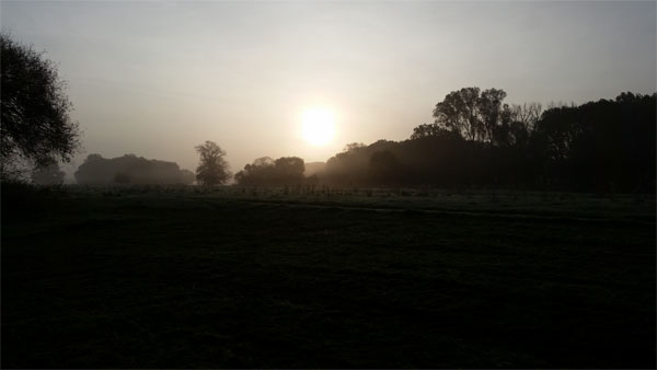 Elbe