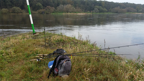 Elbe