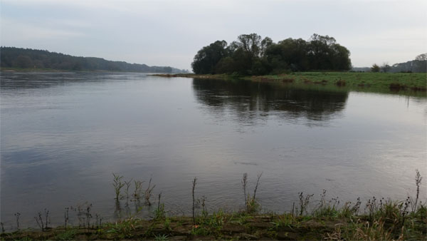 Elbe