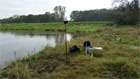 Elbe