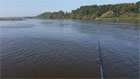Elbe