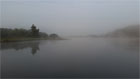 Elbe