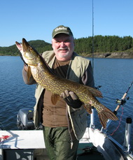 Schöner Hecht aus dem Steinsfjord