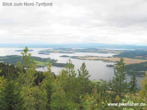 tyrifjord